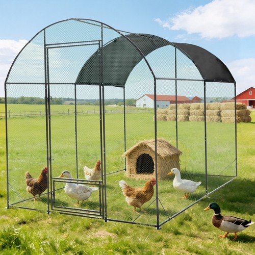 2x3m walk chicken - walk, run