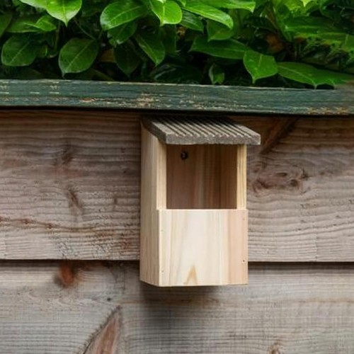 Wild bird wooden - wild, box