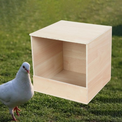 Parakeet nesting box wooden - nesting,