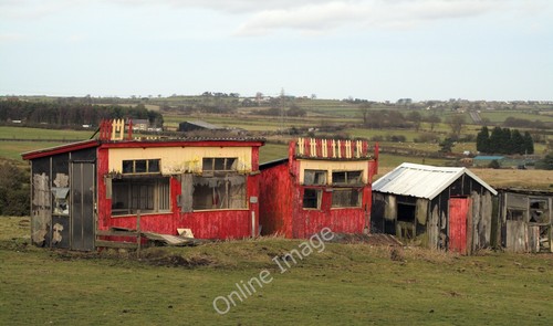 Photo 12x8 pigeon crees and - 12x8,