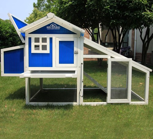 Small plastic chicken - small,