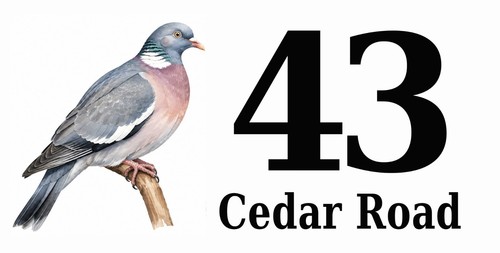 Personalised wood pigeon - personalised, house