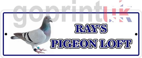 Personalised pigeon loft - , room
