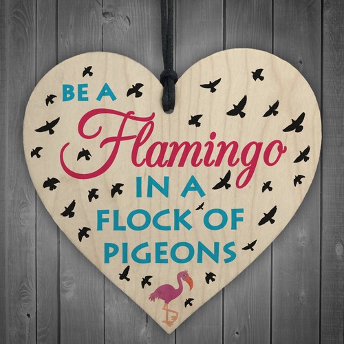 Flamingo in pigeons - be, a