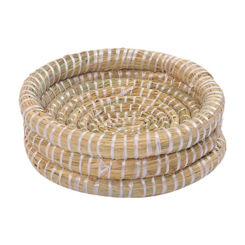 Bird nest breeding - bird,