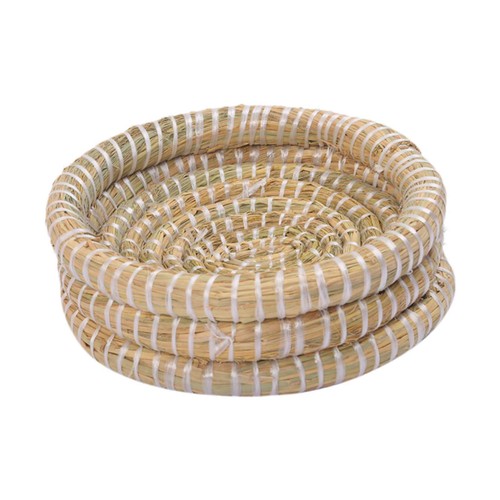 Bird nest - bird,